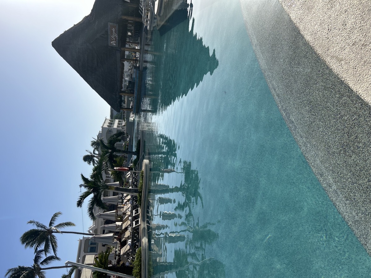 A resort pool ringed with palm trees and a thatched roof bar