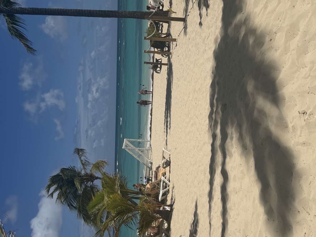 A palm shaded beach with swimmers out in clear turquoise water