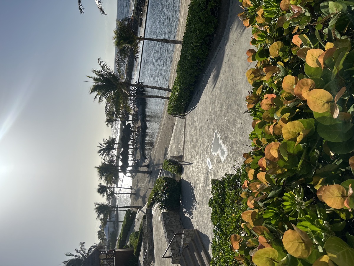 A quiet resort beach and lagoon seen from a garden path above it